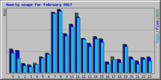 Hourly usage for February 2017
